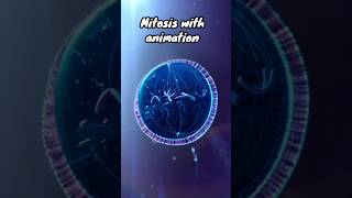 Mitosis With Animation celldivisionmitosis cell cellbiology [upl. by Jerusalem]