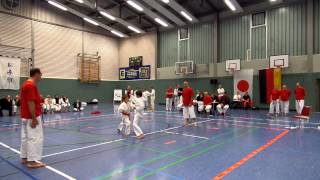 FudoshinRyu Cup 2013  Alex Turnier  Kihon Ippon Kumite  Finale [upl. by Ardnos]