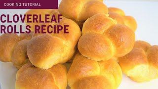 HOW TO MAKE CLOVERLEAF ROLLS RECIPE BREAD RECIPE [upl. by Ennaerb]