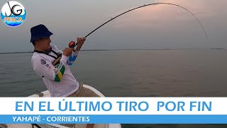 🎣 SORPRESA EN EL PARANA ​🐟​ PESCA DE PATI en Yahapé Corrientes  alto parana  dorado  JG PESCA [upl. by Learsi]