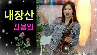 라이브 신청곡 내장산  김용임 alto saxophone cover by 알토뽕신현주 [upl. by Rumpf]