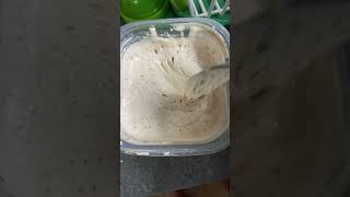 Peaked sourdough starter It’s a beautiful smelly thing sourdough bread [upl. by Klute855]