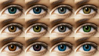 Freshlook Colorblends All 12 Colors Contact Lens Review [upl. by Norrag]