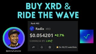 How to Buy XRD — RadixDLTs Native Coin [upl. by Eetnom]