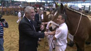 Concours de chevaux Trait Auxois HD [upl. by Acinaj320]