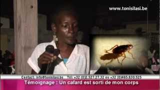 ADV  Un gros cafard est sorti de mon corps [upl. by Casta]