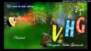 Navidad  Venezuela Habla Gaiteando [upl. by Nosnarb]