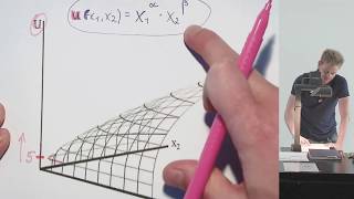 Die CobbDouglasNutzenfunktion Indifferenzkurven und Grenzrate der Substitution 92 [upl. by Atthia]