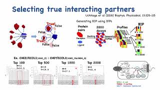 Case studies of proteinprotein interaction  Nobuyuki Uchikoga  Poster  ISMBECCB 2023 [upl. by Aitas634]