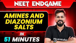 AMINES AND DIAZONIUM SALTS in 51 Minutes  NEET 2024 [upl. by Tadashi]