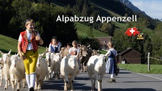 Alpabzug Appenzell Alpine Descent [upl. by Peirce]