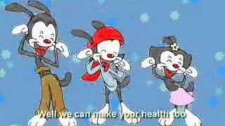 Animaniacs Carmelldansen  Misheard Lyrics [upl. by Weisler]