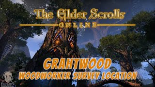 ESO Woodworker Survey Location  Grahtwood [upl. by Moser339]