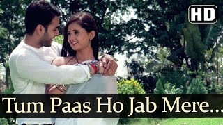 Tum Paas Ho Jab Mere HD  Rashmi Desai  Yeh Lamhe Judaai Ke Songs [upl. by Adnalra]