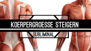 Größer werden  Körpergröße erhöhen  Körperwachstum stimulieren [upl. by Fidela]