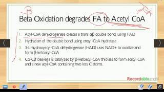 Ch 20  Fatty Acid Catabolism and Ketone Bodies [upl. by Gettings649]