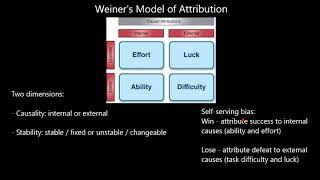 Attribution Theory and Social Psychology Explained with Examples  Simplest explanation ever [upl. by Doowron]