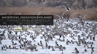 The GameKeepers of Mossy Oak TV Waterfowl Migration Explained Trailer [upl. by Bleier755]