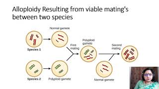 Polyploidy in Plant Breeding [upl. by Tierney757]