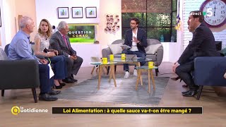 Loi alimentation  à quelle sauce vaton être mangé [upl. by Aissatsana]