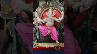 Shir Ganesh chaturthi darshan ganpati [upl. by Studner]