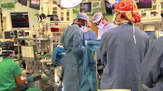 What does a pediatric perfusionist do How do I become a perfusionist [upl. by Hutton]