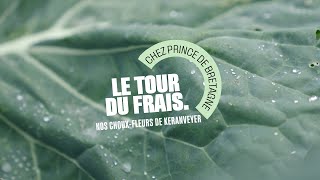 Grand Frais  Le Tour du Frais avec Valentin producteur de chouxfleurs [upl. by Notsgnik]