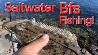 Saltwater bfs fishing Shelter Island Keitech Swing Impact Fat 33 [upl. by Ushijima306]