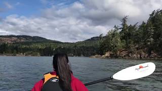 Sooke Basin Kayaking [upl. by Eenitsed]