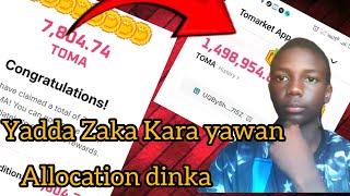 Yadda Zaka Kara allocation dinka a tomarket Kafin listing [upl. by Bilak]