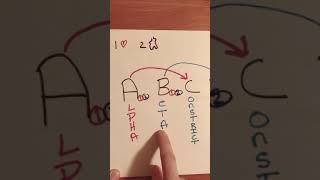 Alpha and beta receptor action made simple [upl. by Halette]