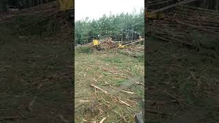 Piled up again using 2021 632h Tigercat skidder its a beast [upl. by Clotilda718]