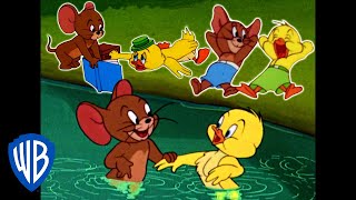 Tom amp Jerry  Best of Jerry and Little Quacker  Classic Cartoon Compilation  WB Kids [upl. by Yrailih]