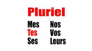 تعلم الفرنسية واكتشاف الثقافة الفرنسية  adjectifs possessifs pluriel [upl. by Essy]