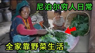 尼泊尔穷人的生活有多惨？全家只能吃野菜，看到最后泪目了！ [upl. by Hacker800]