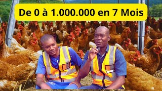 De 0 à 1 000 000 en Elevage des POULES PONDEUSES au Congo [upl. by Lurleen829]