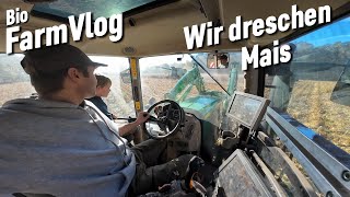 Weiter geht es mit dem Körnermais  Herbsbestellung fertig  Bäume rausreißen amp mehr  Vlog 137 [upl. by Nedi209]