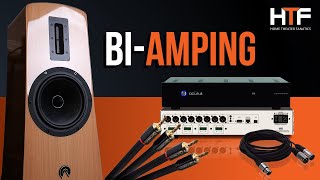 How to BiAmp your Speakers for Fun and Profit [upl. by Amethyst574]