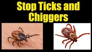 Prevent Ticks and Chiggers on Body and Yard [upl. by Quiteris]