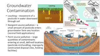 Environmental Concerns of Pesticide Use [upl. by Eceinahs]