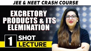 Excretory Products And Its Elemination  One Shot Lecture  CHAMPIONS  JEENEET CRASH COURSE 2022 [upl. by Lakym202]