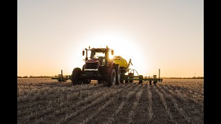 Planting Sorghum in Australia [upl. by Cindelyn]