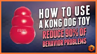 The Surprising Way Kong Toys Can CHANGE Your Dogs Life [upl. by Tamarra]