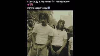 SDot Go x Jay Hound  Falling InLove Unreleased Check Description [upl. by Wescott]