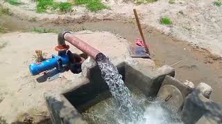 3 inch solar water pump price in pakistan shahzad pump price in pakistan dc motor pump [upl. by Aloibaf]