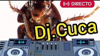 🔴DJ CUCARACHA Dj 🔴SHOW EN VIVO Y DIRECTO 24 horas MUSICA Flow de la cucarachaépico [upl. by Linda]