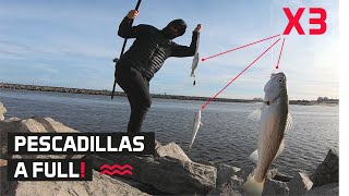 𝙋𝙀𝙎𝘾𝘼𝘿𝙄𝙇𝙇𝘼𝙎 siguen a full pesca surfcasting fishing Hora de pesca pescaviajera [upl. by Tooley622]