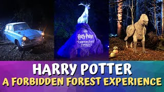 Exploring the Enchanting Forbidden Forest at Arley Hall  Harry Potter Experience [upl. by Eimia]