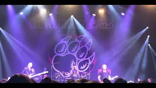 The Winery Dogs  Live at HiroshimaJapan 2023「Captain Love（with Howling） ～ Hot Streak」 [upl. by Saucy144]