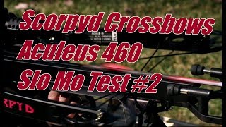 Scorpyd Crossbows Aculeus 460 fps High Speed Video Test 2 [upl. by Yancey554]